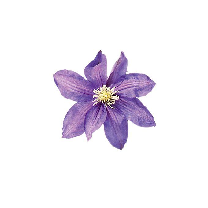 Twilight Serenity Floral Cascade