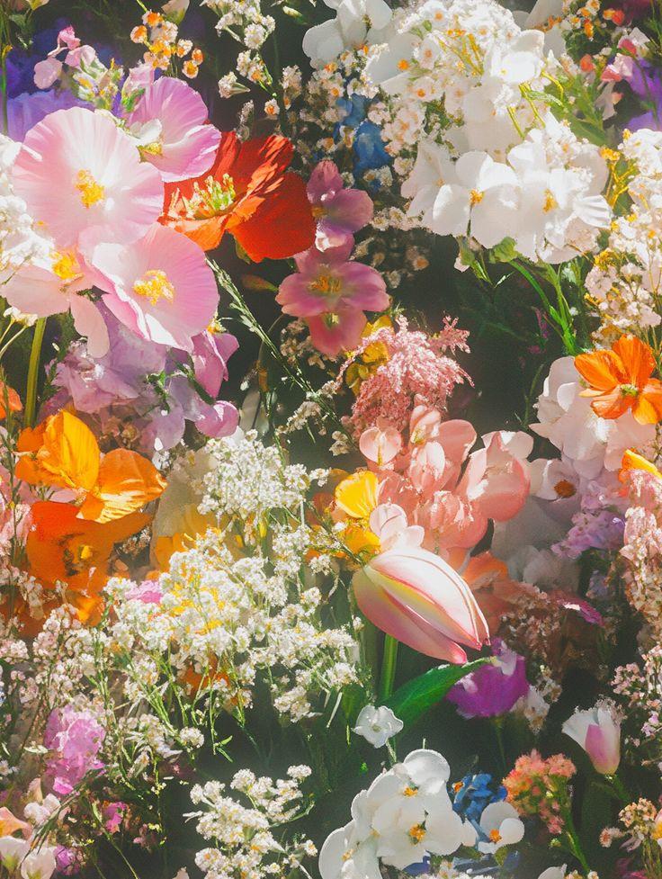 Whispers of Nature's Harmony Bouquet